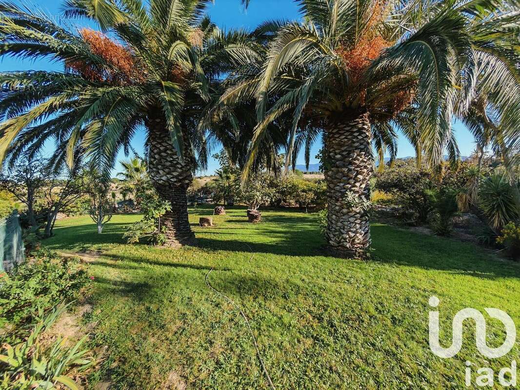 Photo 8 - Maison à PERPIGNAN