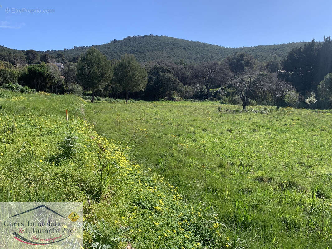 Terrain à LE PRADET