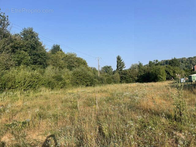 Terrain 7720 m² à Montrond  - photo 5