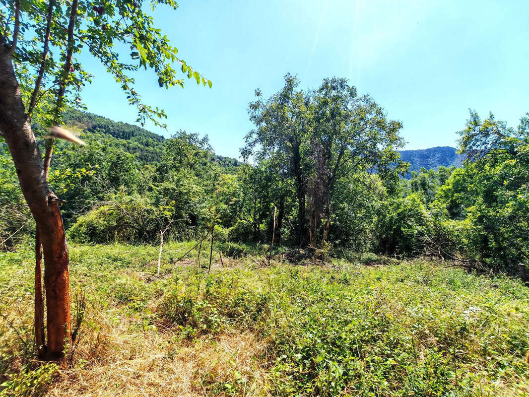 Photo 7 - Maison à BELVEDERE