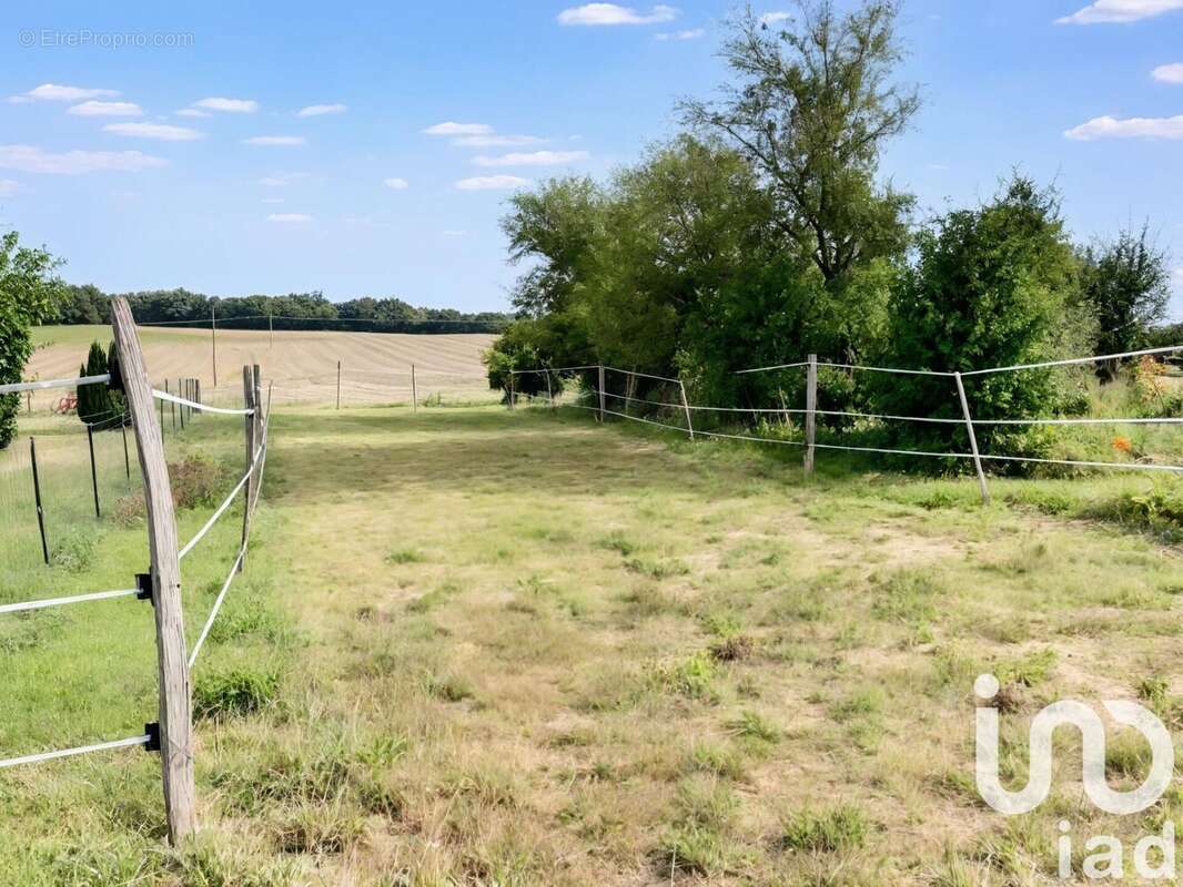 Photo 2 - Terrain à MAZERAY