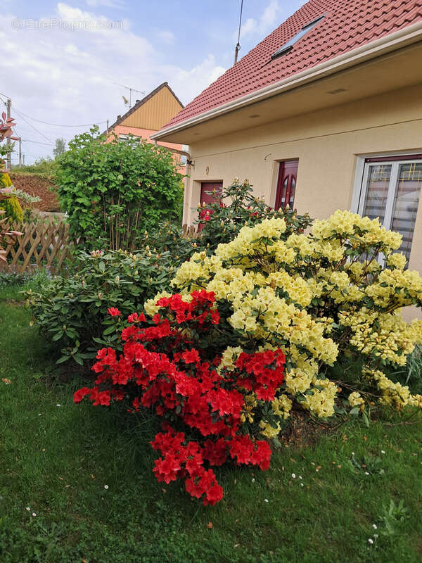 Maison à CHANTEHEUX