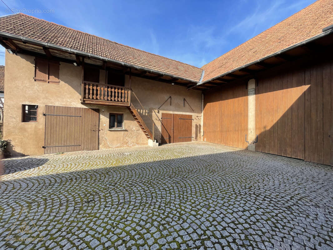 Ensemble immobilier à Mittelhausen - photo 3