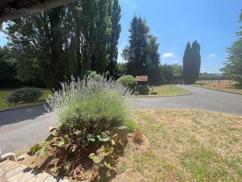 Maison individuelle 4 chambres avec bassin d'agrément et 1 hectare de terrain - photo 31