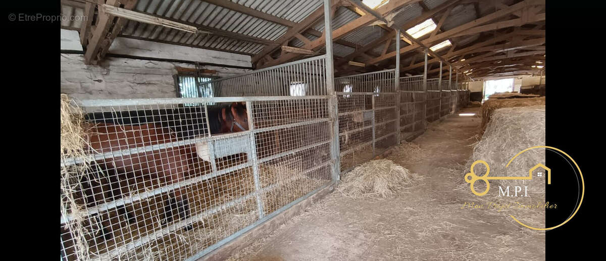 Commerce à CHAMP-HAUT