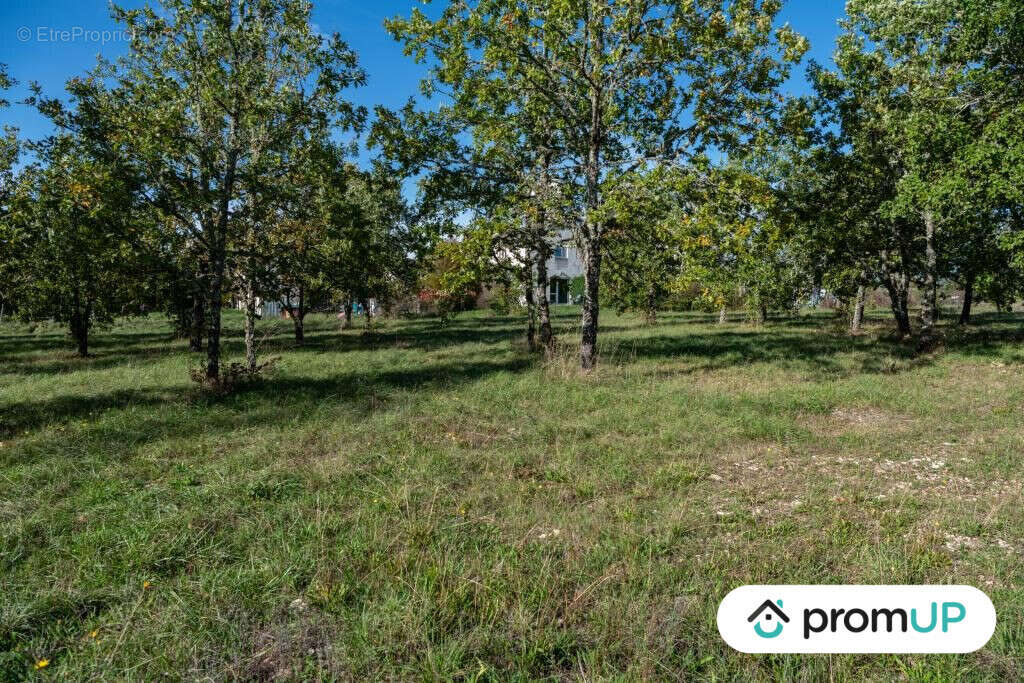 Terrain à LALBENQUE