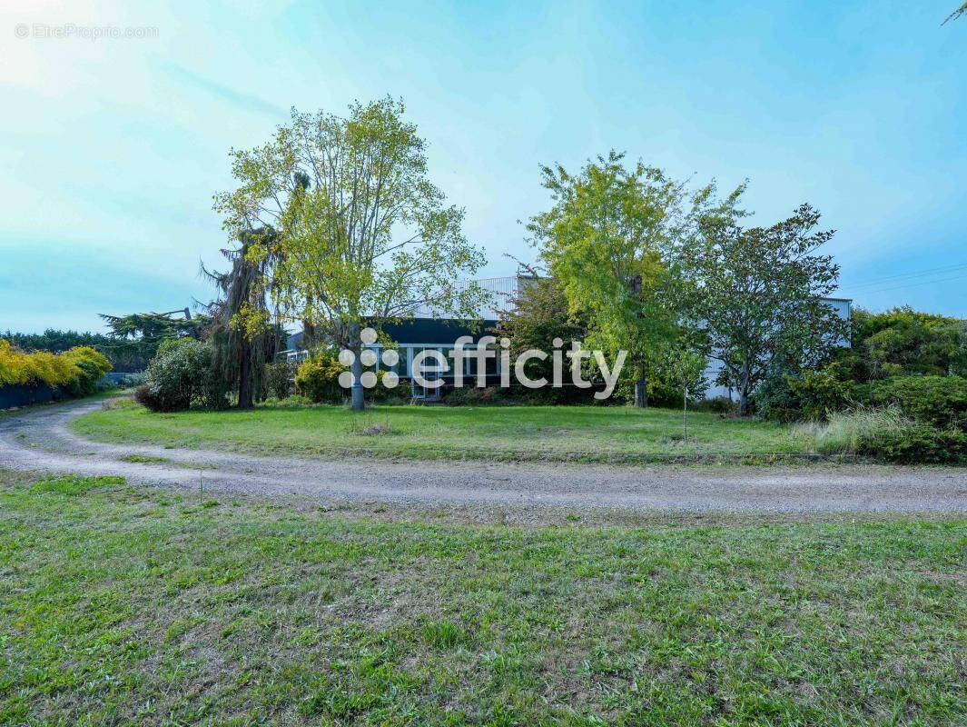 Maison à SAINT-CYR-EN-VAL