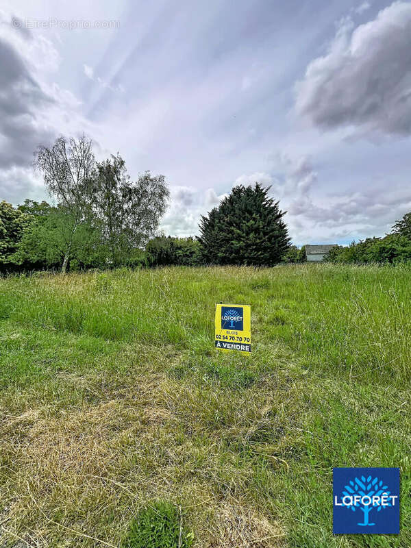 Terrain à bâtir de 906 m² à choussy (41700) ? belle opportunité de construction - photo 5