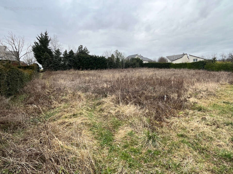 Terrain à THIONVILLE