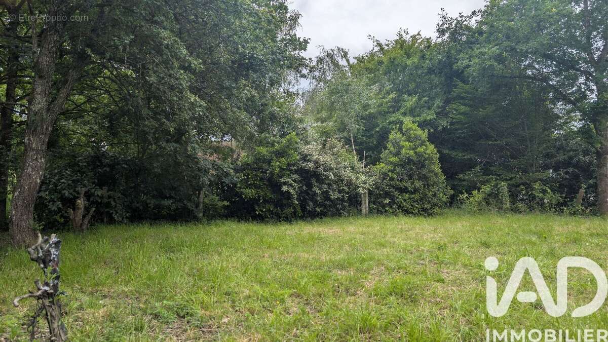 Maison 41 m² à Chemille-Sur-Deme  - photo 7