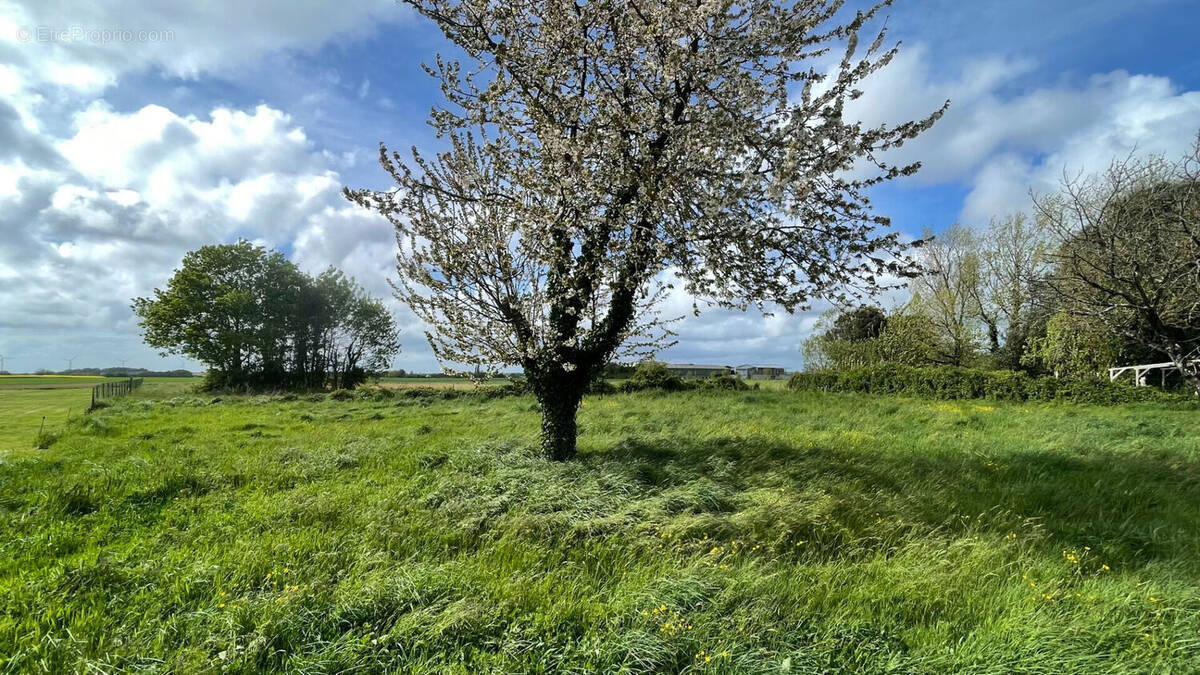 Terrain à LA JONCHERE