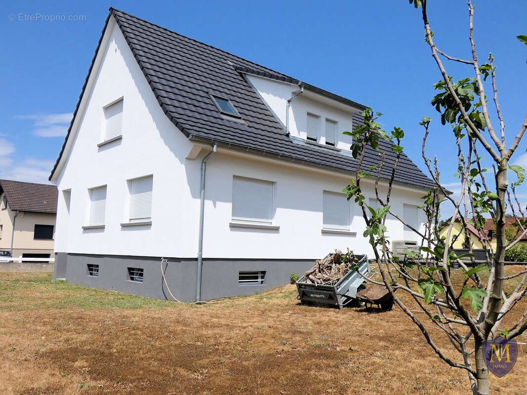 Kembs-loechlé au calme maison à fort potentiel de 180 m2 sur 7,75 ares de terrain - photo 12