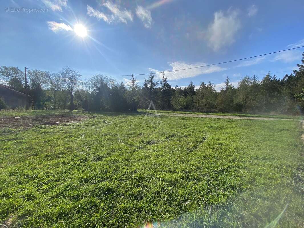 Terrain à VILLEMATIER