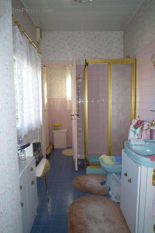 SAINT MARTORY Jolie maison composée de deux appartements avec jardin - photo 9