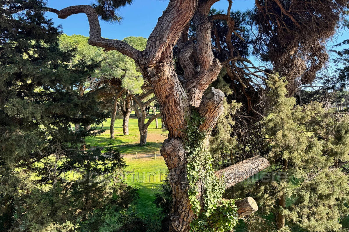 Appartement à MANDELIEU-LA-NAPOULE