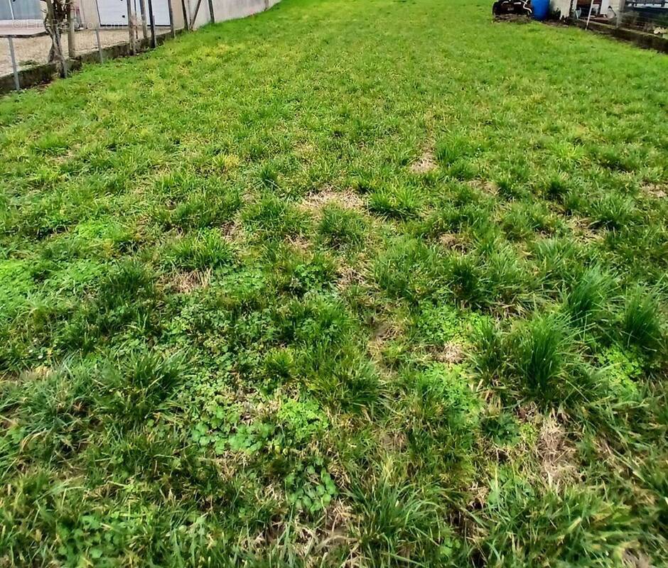 Terrain à MESCHERS-SUR-GIRONDE