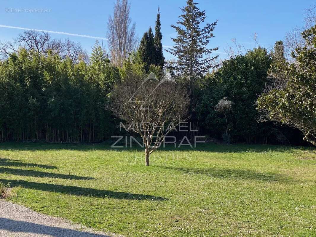 Terrain à SAINT-REMY-DE-PROVENCE