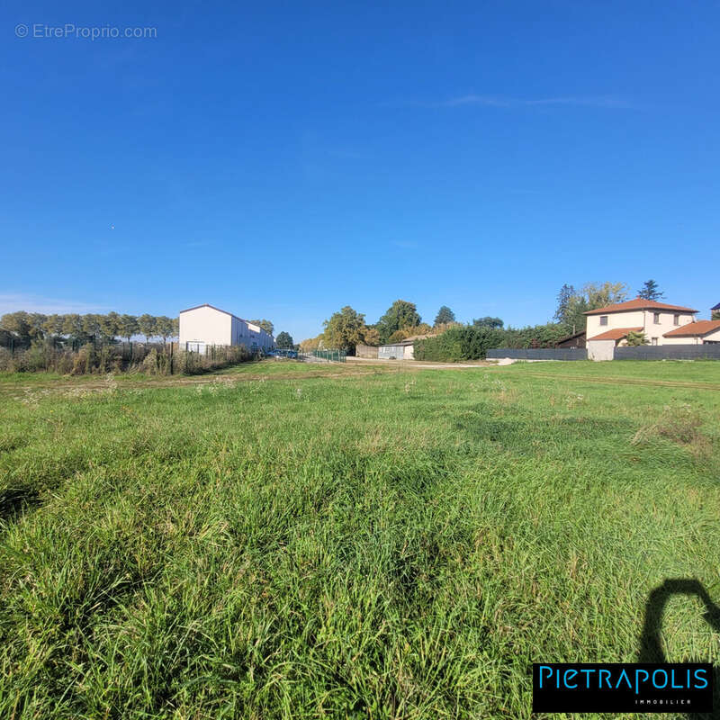 Terrain à AMBERIEUX-EN-DOMBES