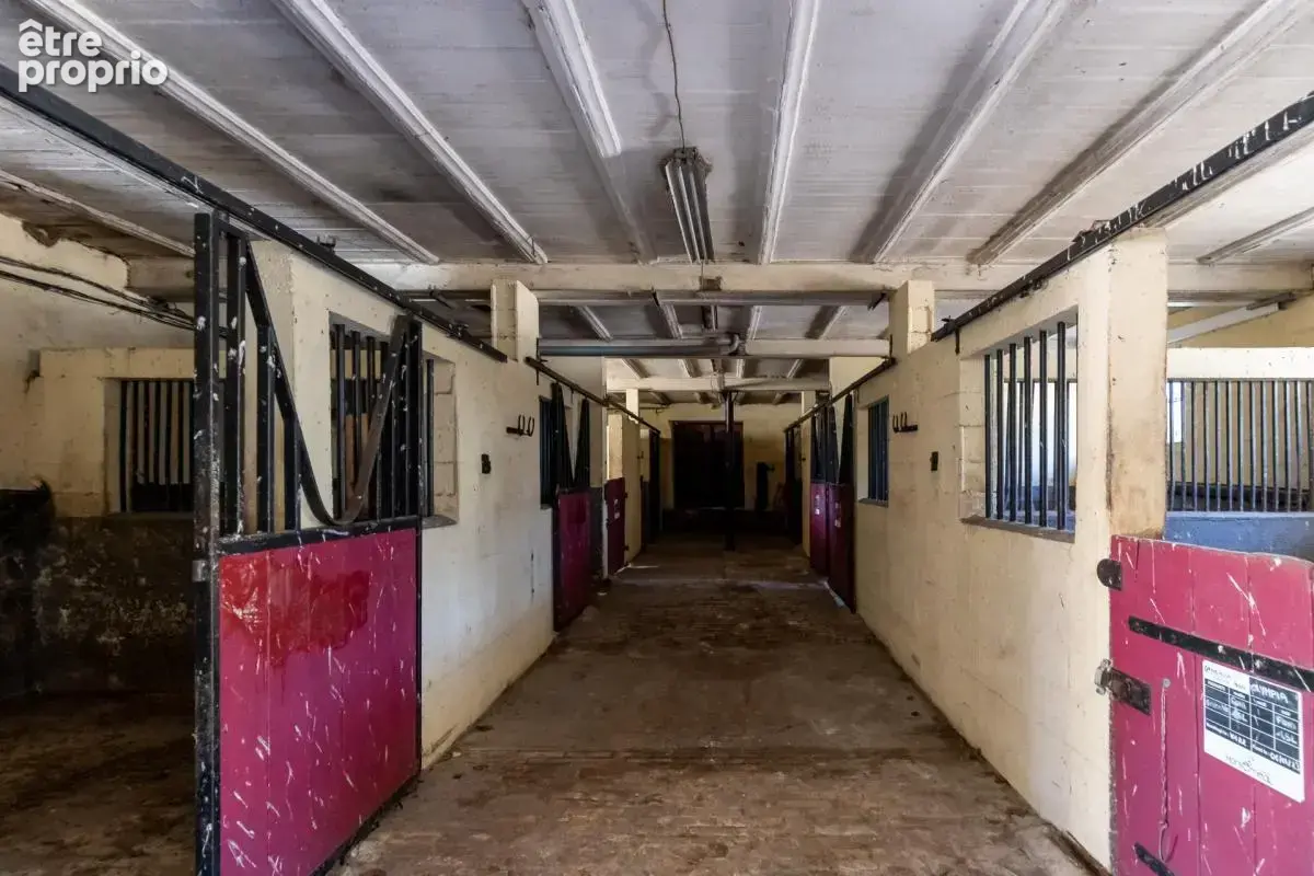 Domaine equestre - boxes-manege-carriere-appartement - photo 12