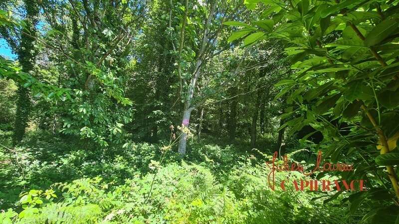 Terrain à vendre  SCAER (29) - Environ 4,5 Ha - photo 3