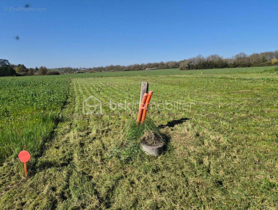 Terrain à SAVONNIERES