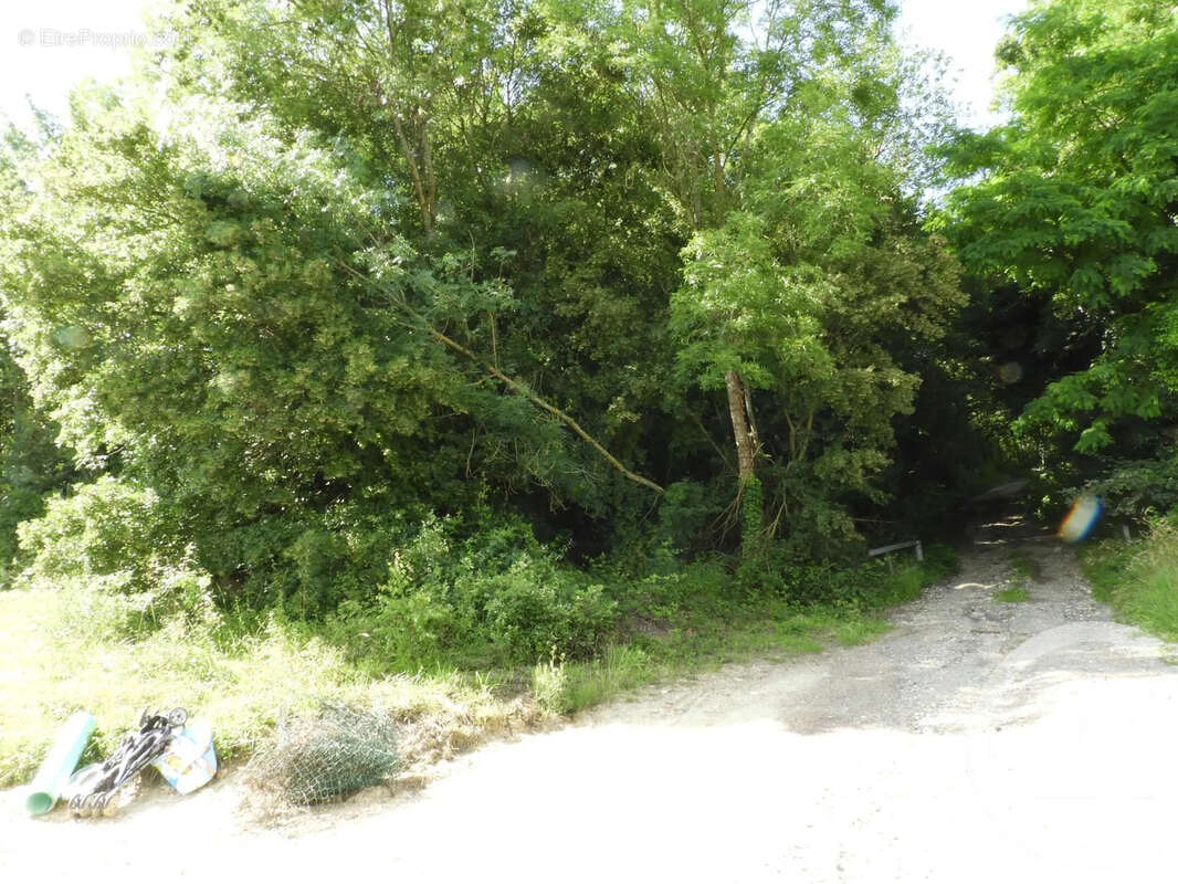 Terrain à DAMMARTIN-EN-GOELE