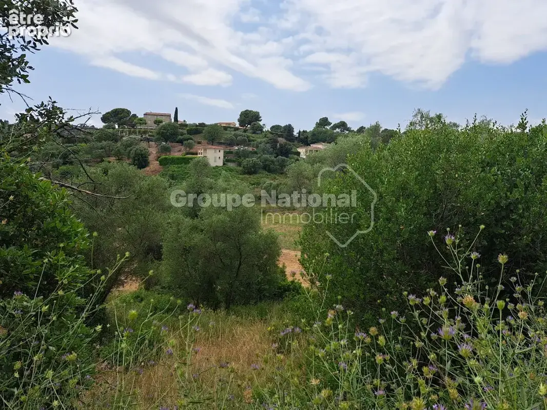 Terrain à vendre Grasse 3034 m² permis accordé et purgé CANTE PERDRIX - photo 5