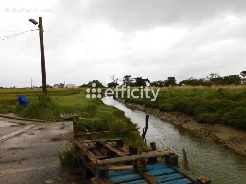 Commerce à DOLUS-D&#039;OLERON