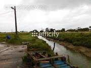 Commerce à DOLUS-D&#039;OLERON