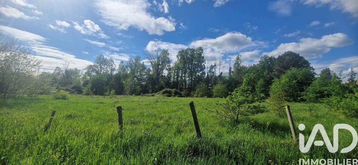 Photo 5 - Terrain à SAINT-LAURENT-DES-HOMMES
