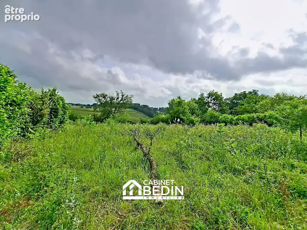 Terrain 2 000 m² à vendre à Prunet (31460) - photo 2
