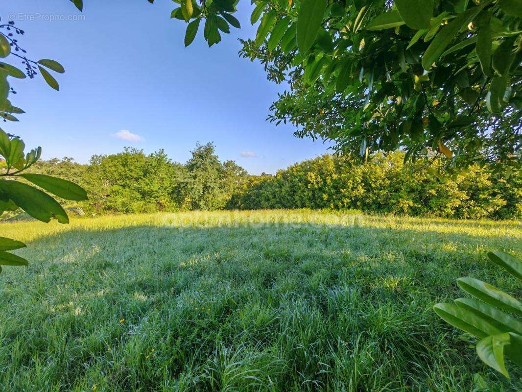 BAISSE DE PRIX !! Terrain constructible de 1 650m² situé à EAUZE (32) - photo 8