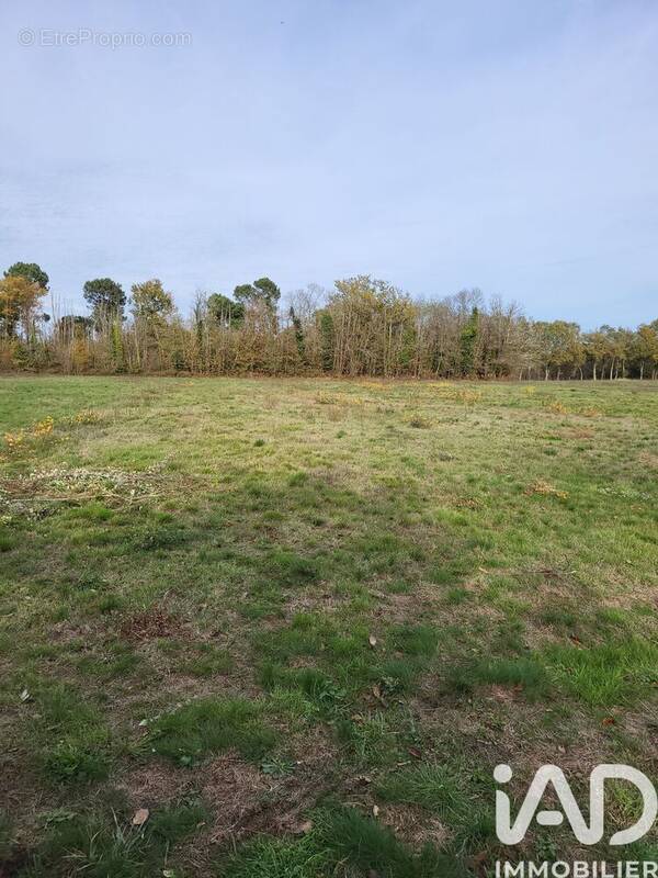 Photo 1 - Terrain à BAZAS