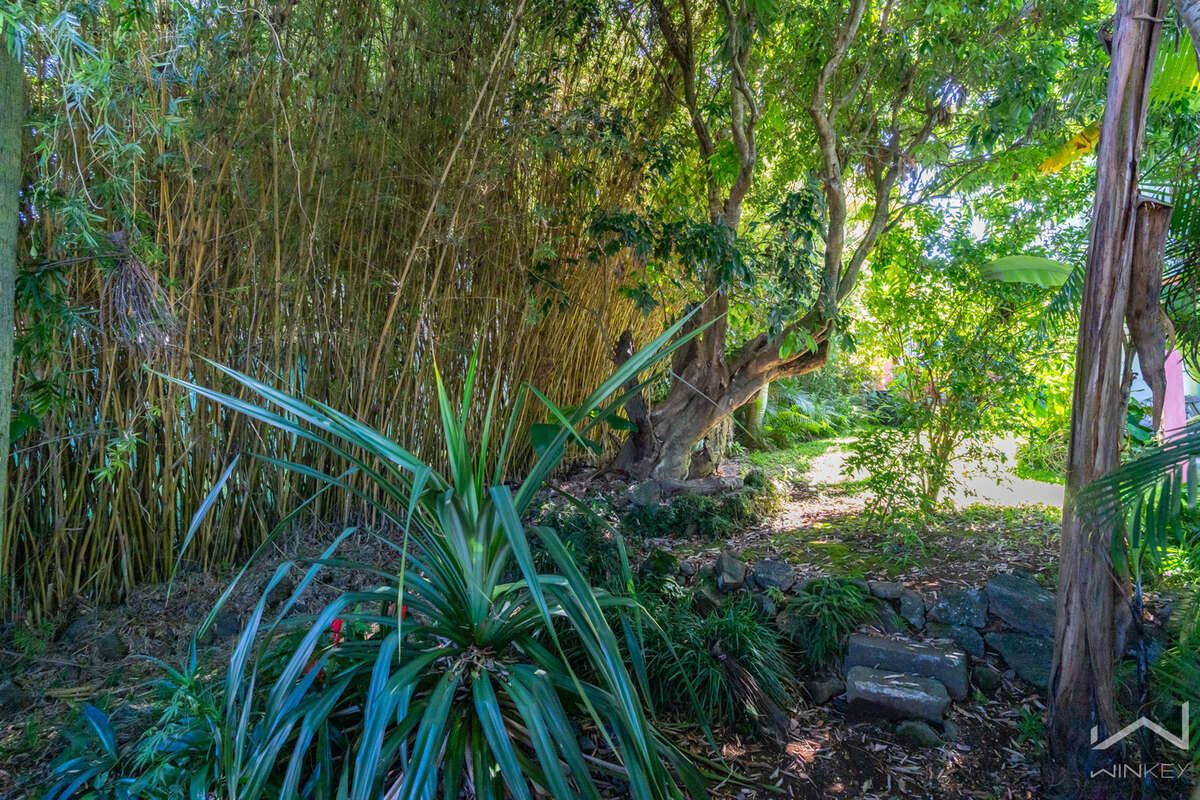 Villa de caractère avec vue océan, piscine et dépendances   Le Tampon - photo 8