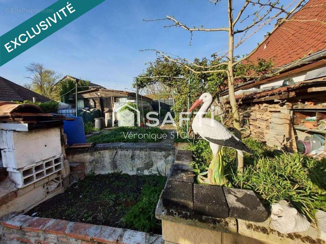 Photo 8 - Maison à HOCHSTATT