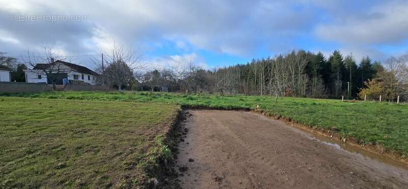 Terrain à LE PALAIS-SUR-VIENNE