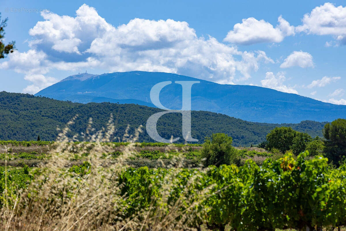 Maison à VAISON-LA-ROMAINE