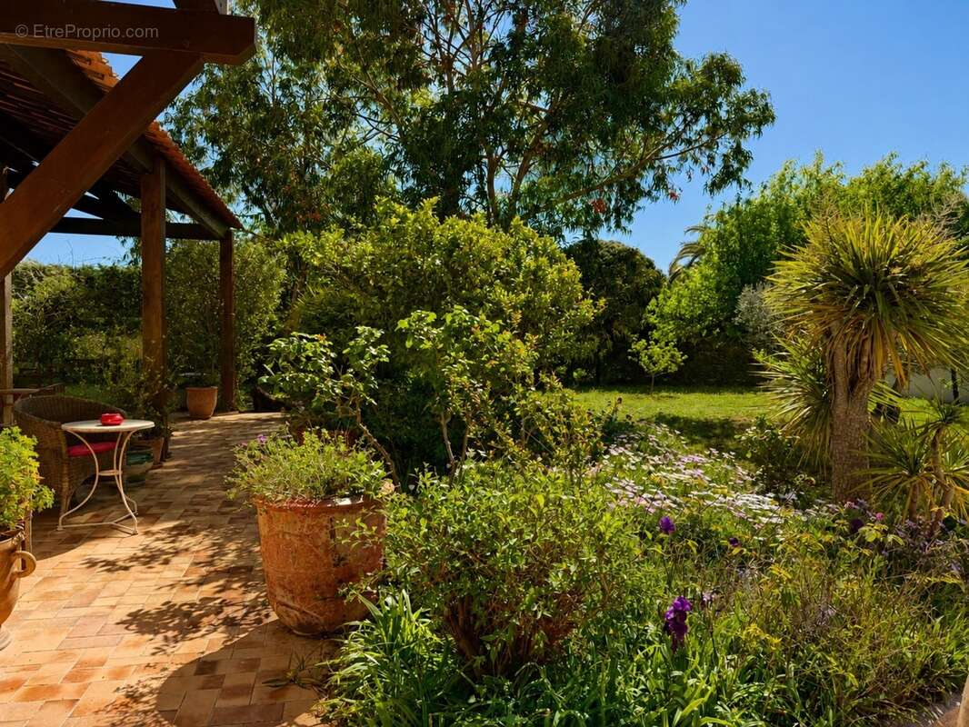 Une propriété introuvable : 2 159 m² de jardin privé au cœur de narbonne - photo 5