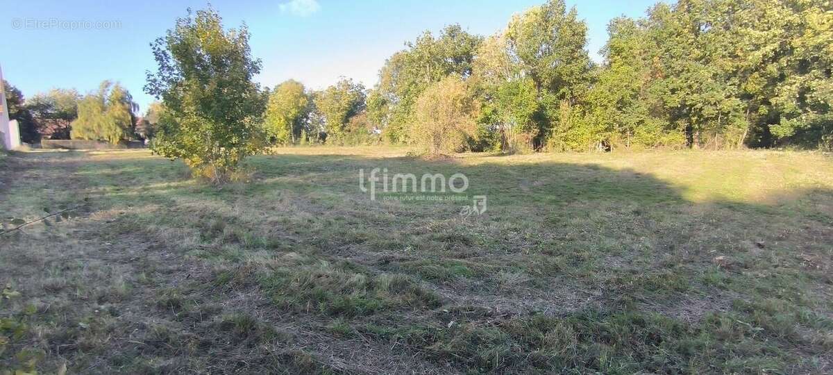 Terrain à MOISENAY