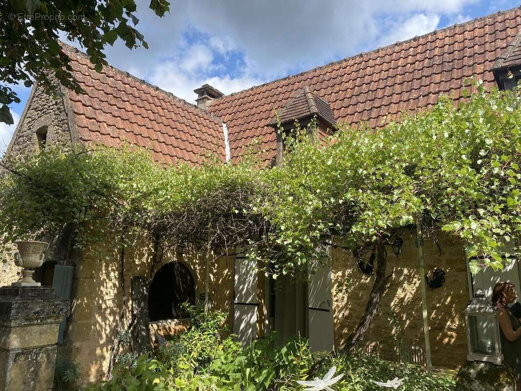 IMG8403 2 - Maison à BEYNAC-ET-CAZENAC