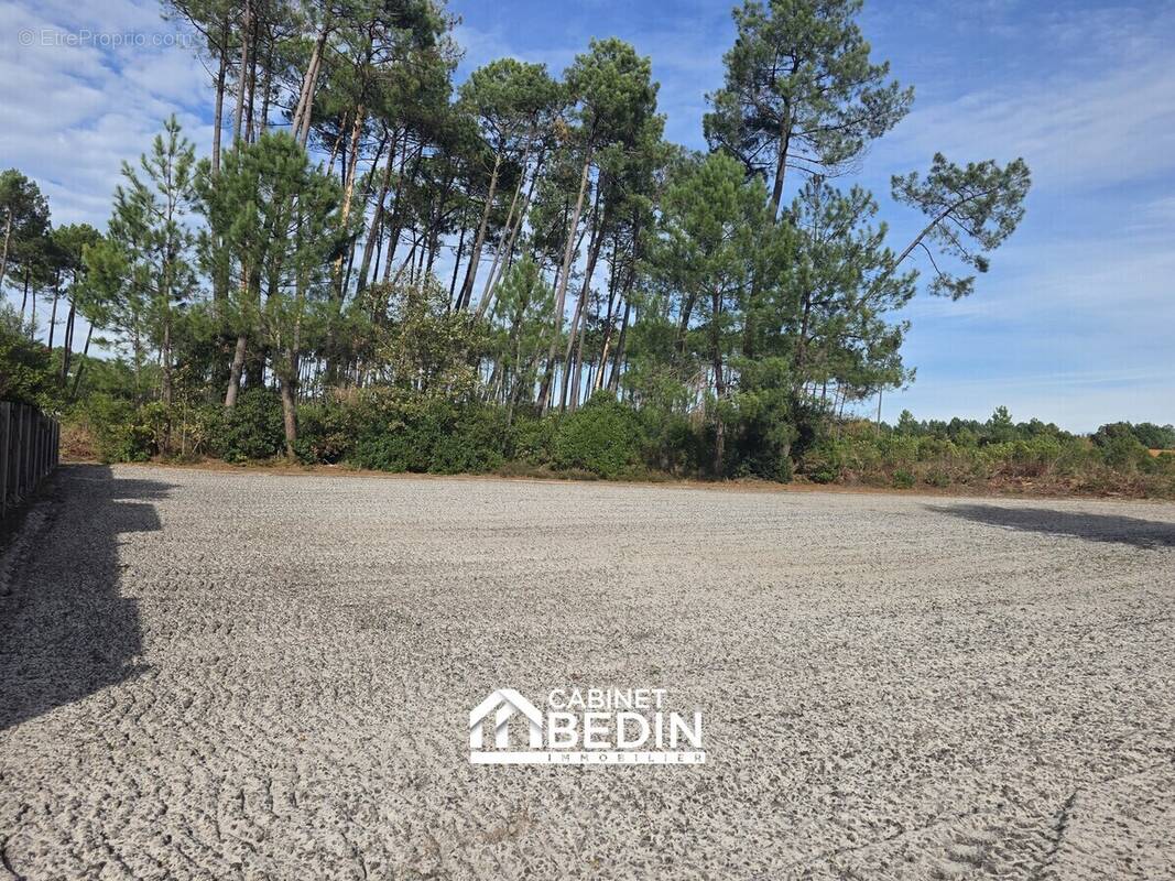 Terrain à BISCARROSSE