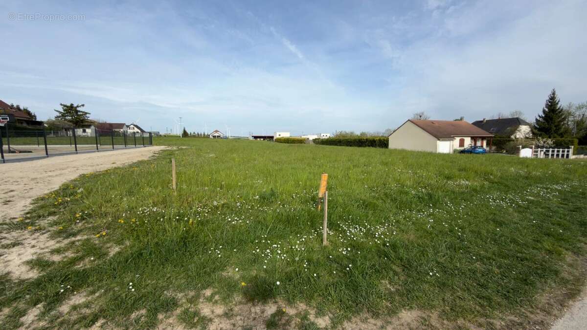 Terrain à SAINTE-MAURE