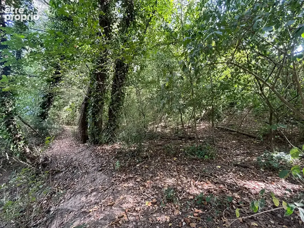 Terrain  en zone naturelle de 4042 m2 - photo 3