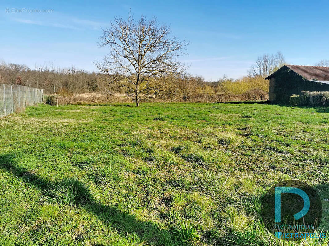 Terrain 3513 m² à Ozan  - photo 3