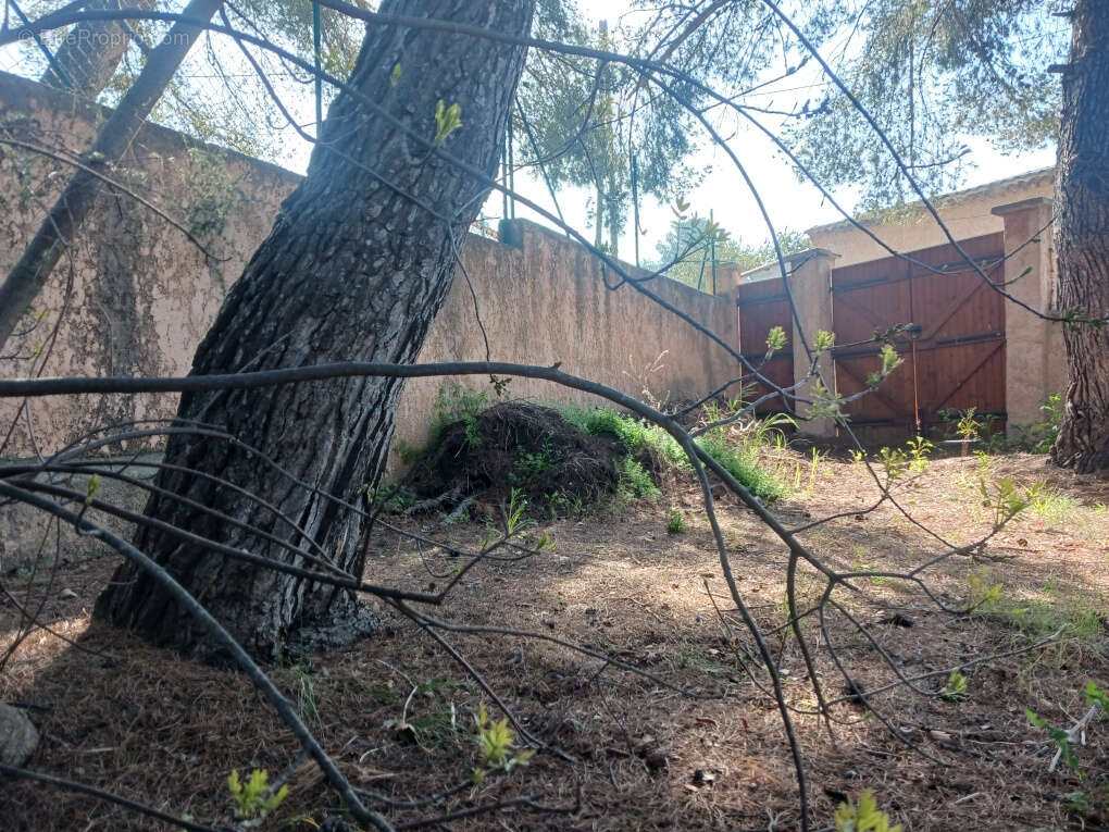 Terrain à MARSEILLE-15E
