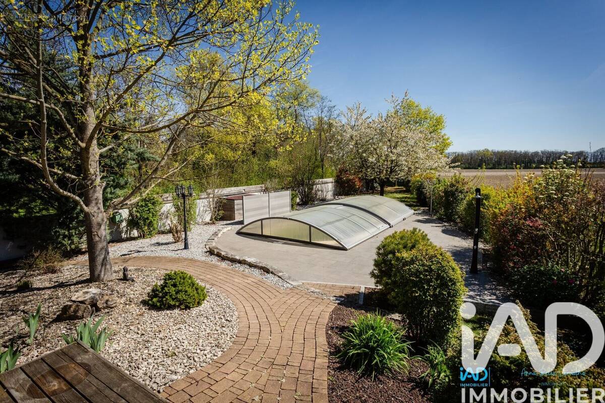 Photo 1 - Maison à ALGOLSHEIM