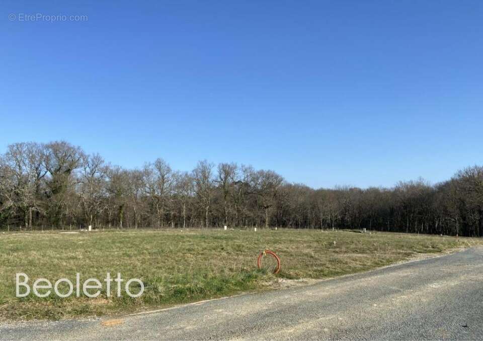 Terrain 1092 m² à Bouliac  - photo 2