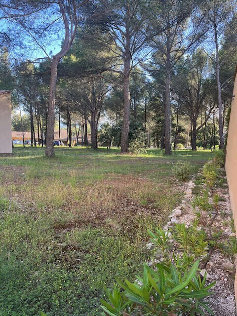 SAUMANE DE VAUCLUSE dans résidence sécurisée, au calme joli appartement T2 avec terrasse. - photo 12