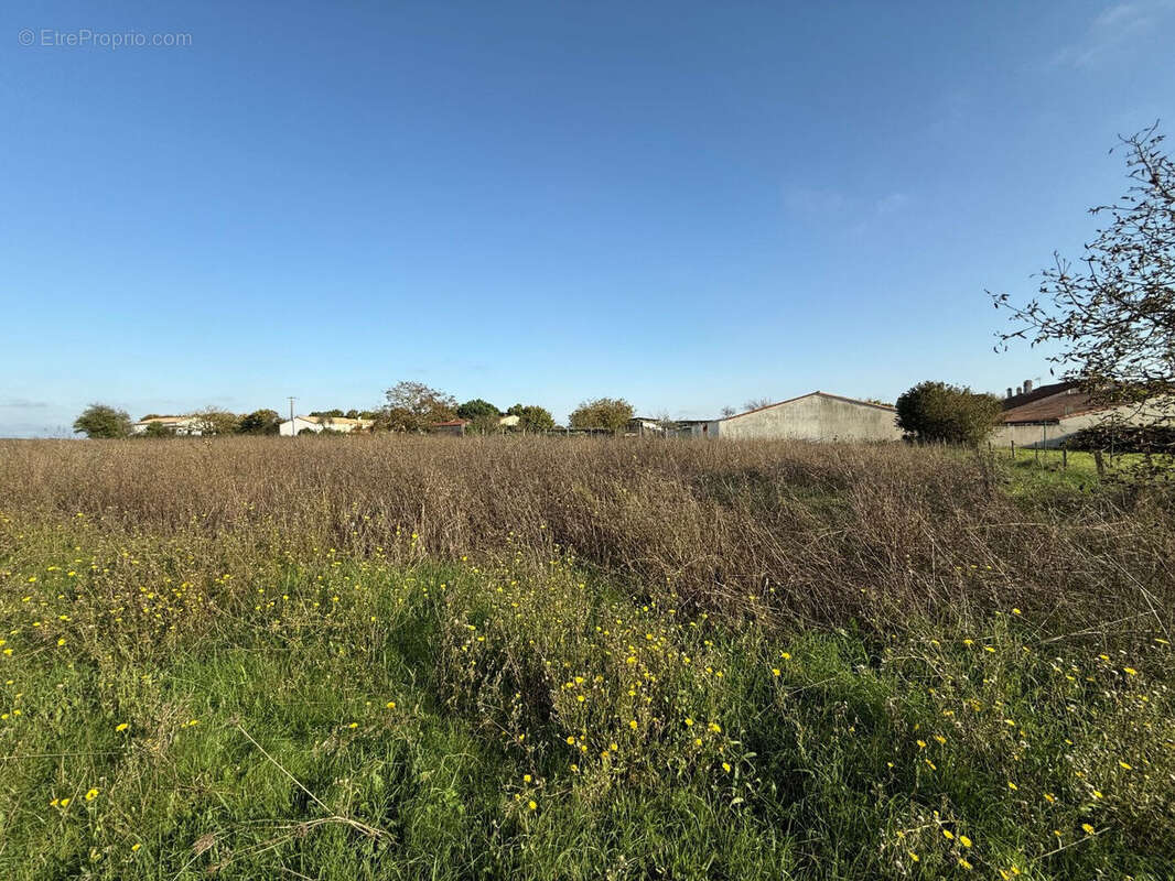 Photo 3 - Terrain à BOUILLE-COURDAULT