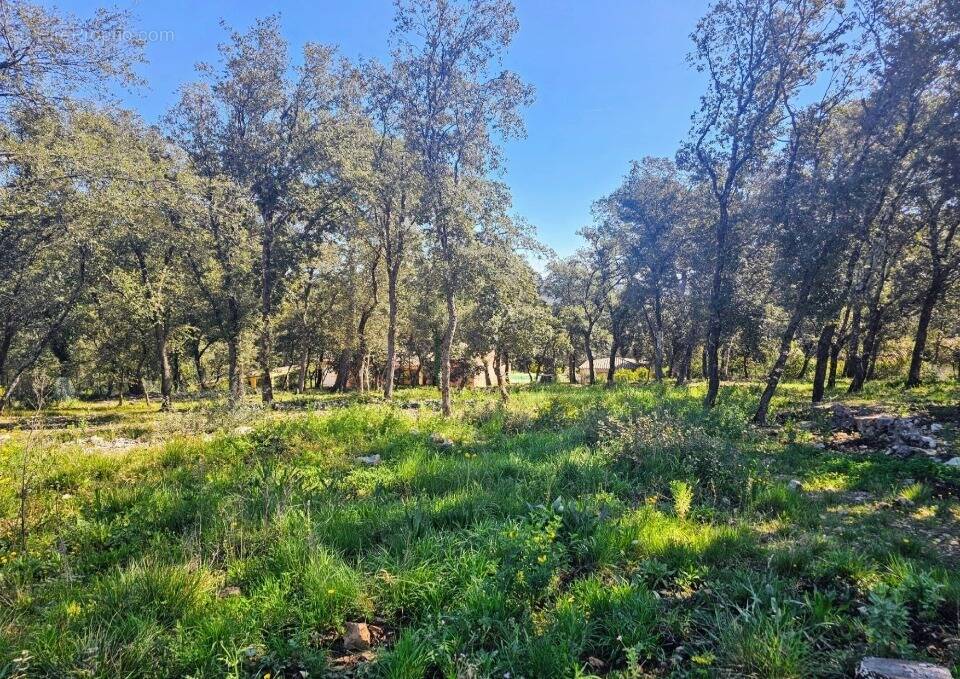 Terrain à LE THORONET